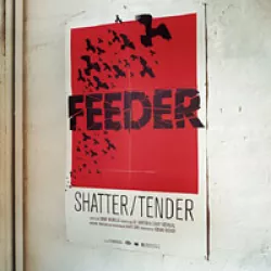 Shatter / Tender
