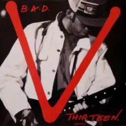 V Thirteen