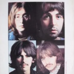 Blackbird