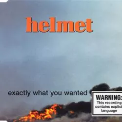 Exactly What You Wanted