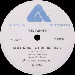 Never Gonna Fall in Love Again